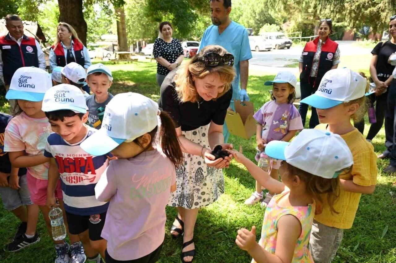 Minik eller Denizli Horozu üretimini öğrendi