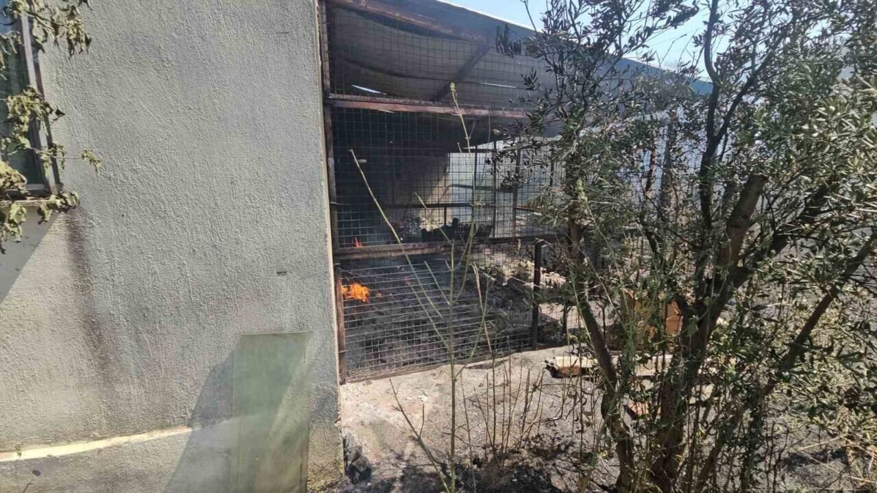 Nazilli’de bir yangın daha çıktı