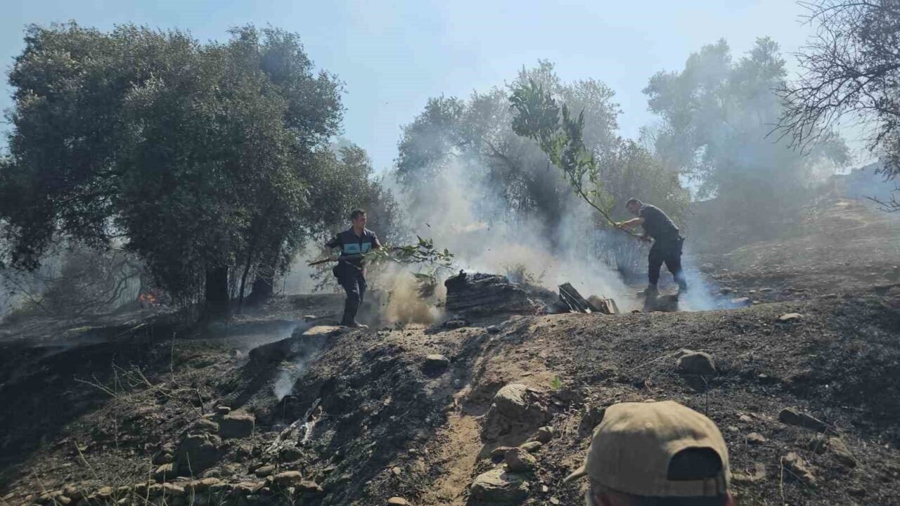 Nazilli’de bir yangın daha çıktı