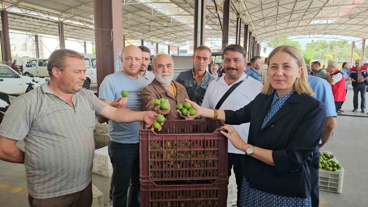 Nazilli’de kaliteli incir için kaliteli ilek denetimleri sürüyor