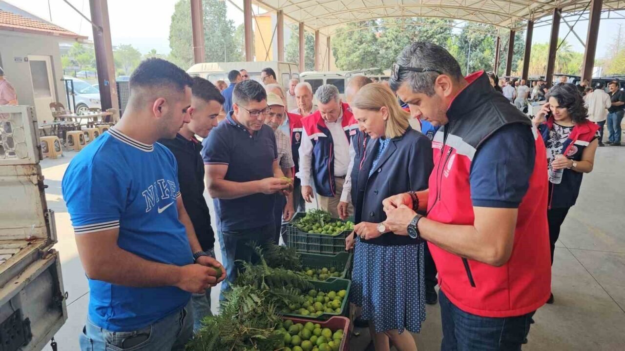 Nazilli’de kaliteli incir için kaliteli ilek denetimleri sürüyor