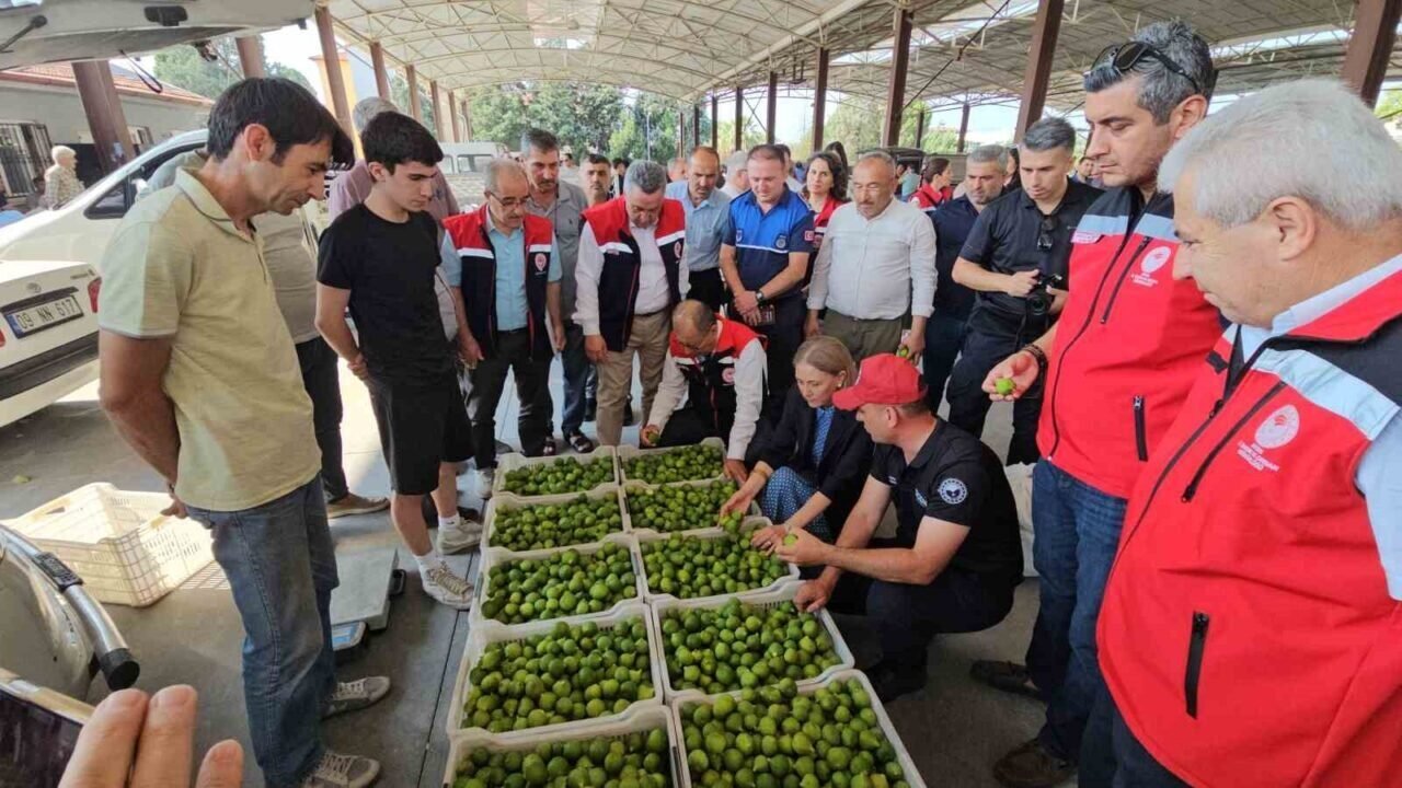 Nazilli’de kaliteli incir için kaliteli ilek denetimleri sürüyor