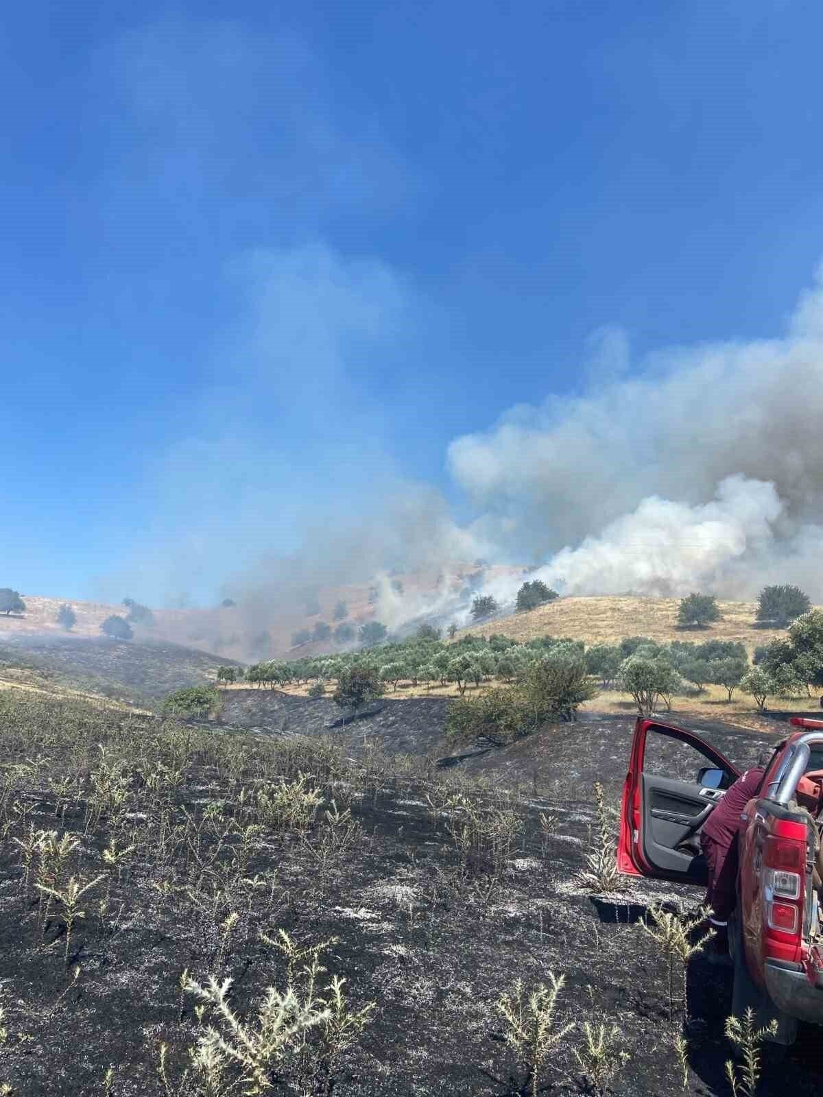 Nazilli’de zirai alan yangını