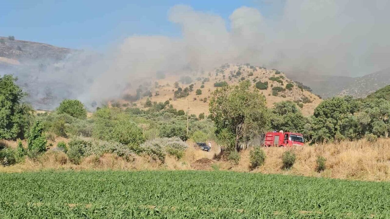 Nazilli’de zirai alan yangınına ekiplerin müdahalesi sürüyor