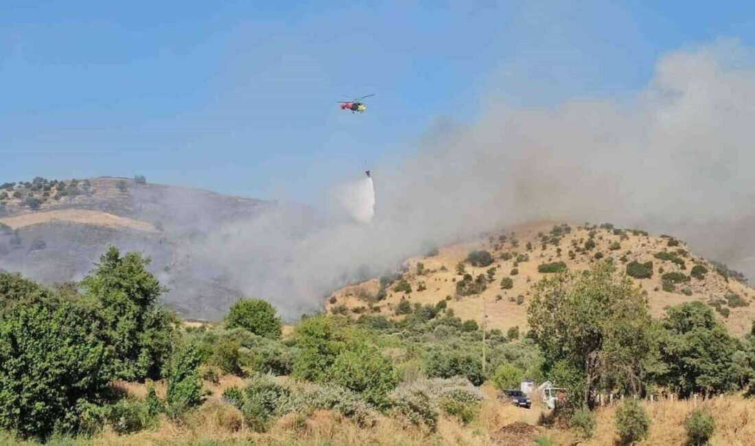Nazilli’deki zirai alan yangını kontrol altına alındı Aydın’ın Nazilli ilçesinde zirai alanda çıkan yangın karadan ve havadan