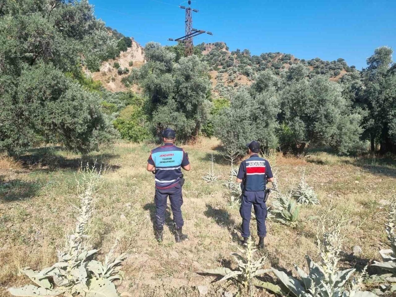 Ormanlık alanda mangal yakan 2 kişi yakalandı Ormanlık alanda mangal yakan 2 kişi yakalandı
