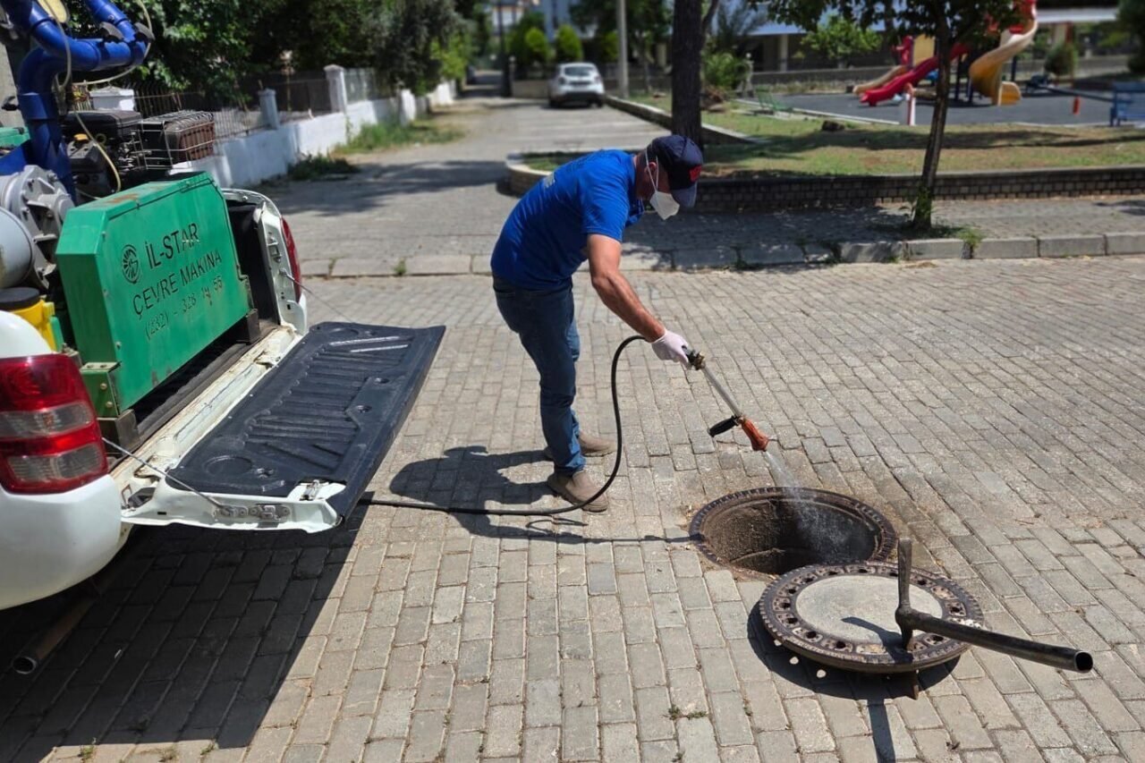 Şehri haşereler bastı, Efeler Belediyesi mücadele başlattı