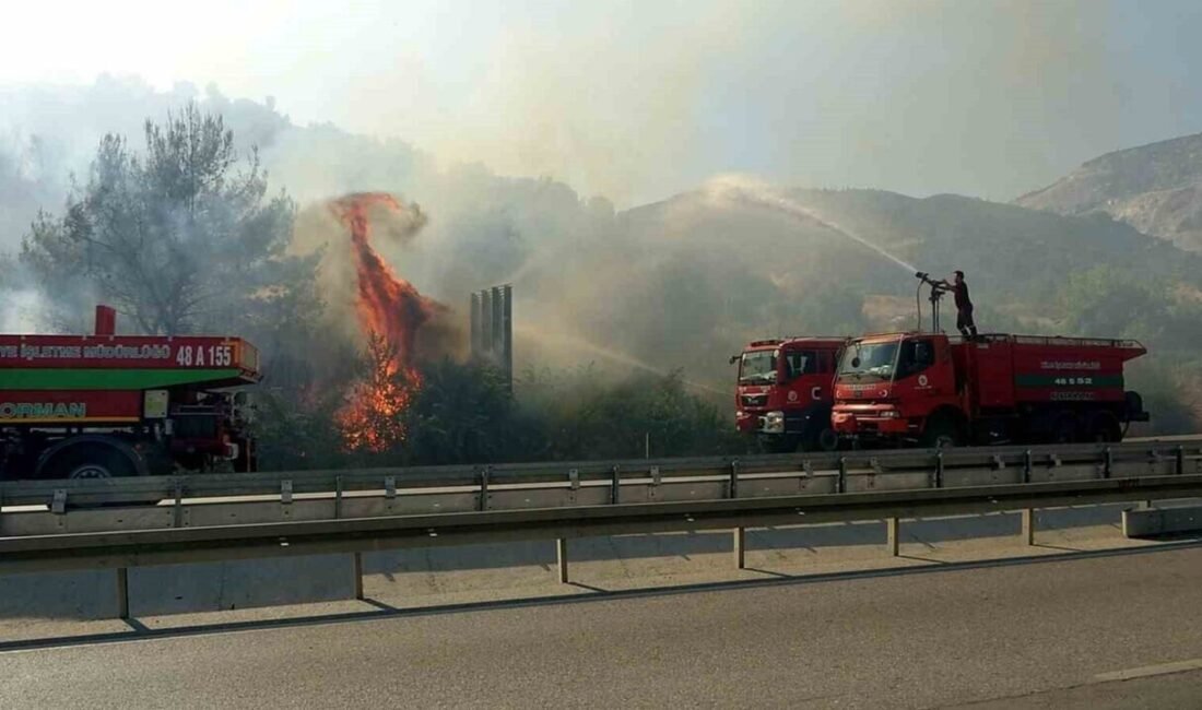 Aydın’ın Söke ilçesinde zirai alanda çıkan ve ormanlık alana sıçrayan