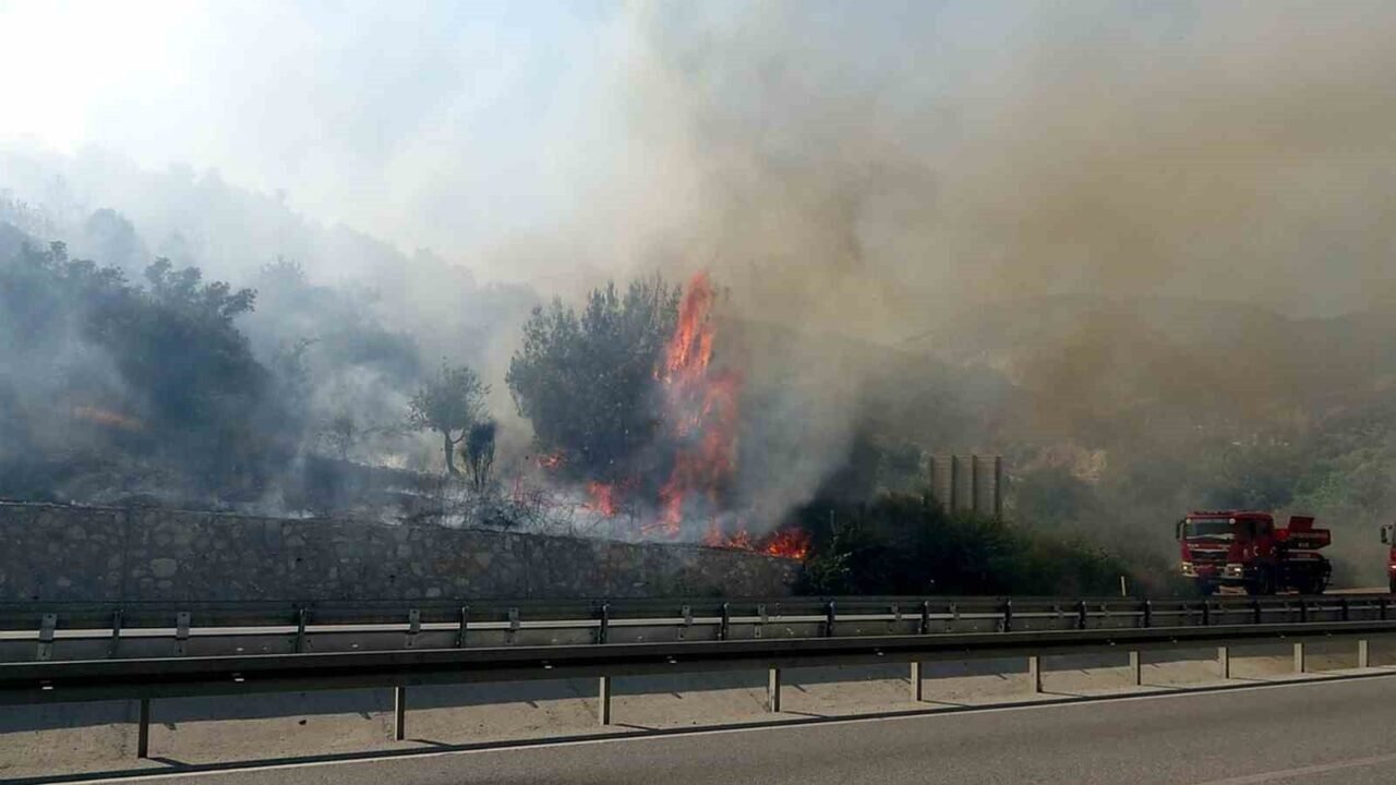 Söke’deki yangın kontrol altına alındı