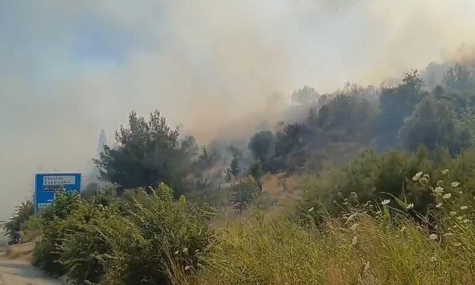 Aydın’ın Söke ilçesinde zirai alanda çıkan yangın ormanlık alana sıçrarken,