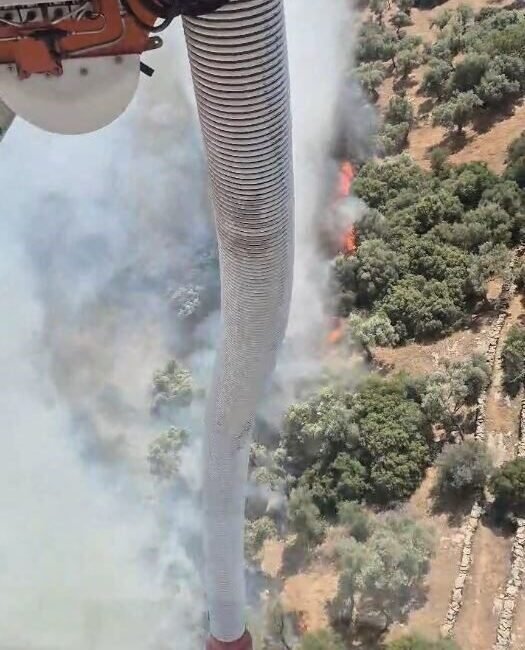Aydın’ın Söke ilçesinde zirai alanda çıkan yangının kontrol altına alınması