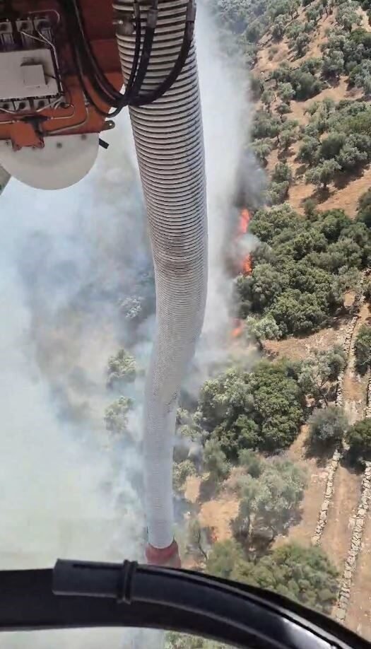 Söke’deki yangına havadan müdahale yapılıyor Söke’deki yangına havadan müdahale yapılıyor