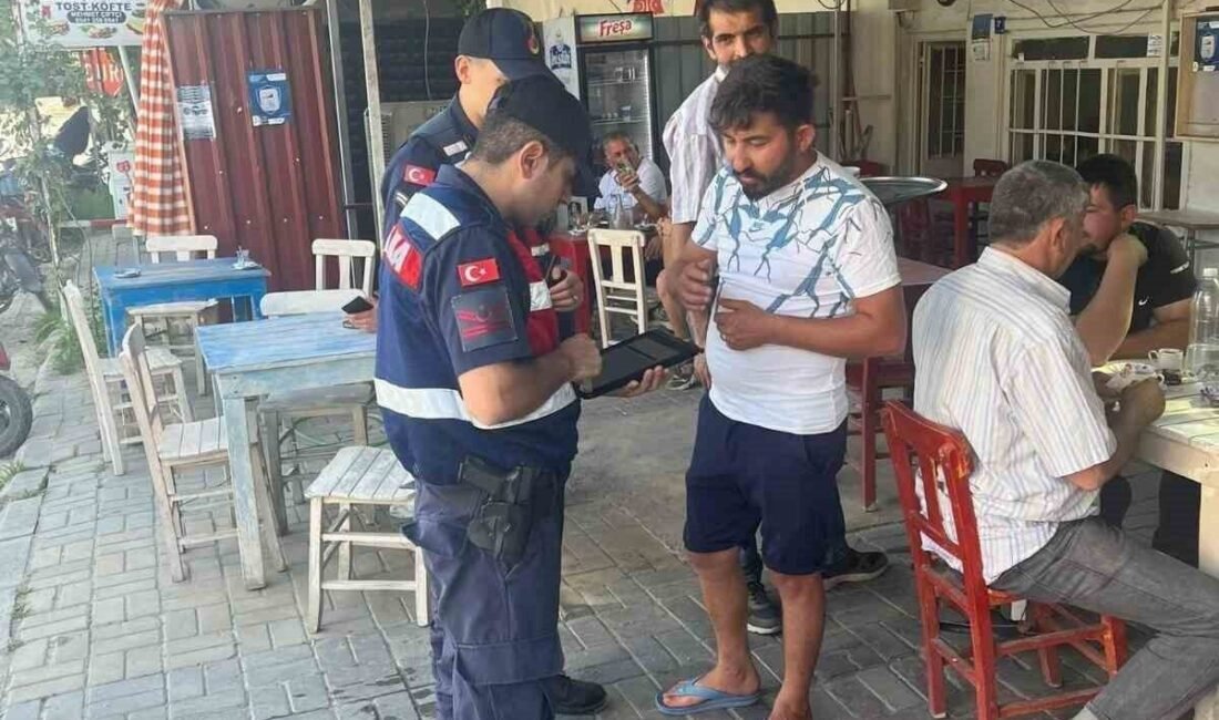 Aydın’ın Sultanhisar ilçesinde jandarma tarafından gerçekleştirilen sıcak nokta uygulamasında 41