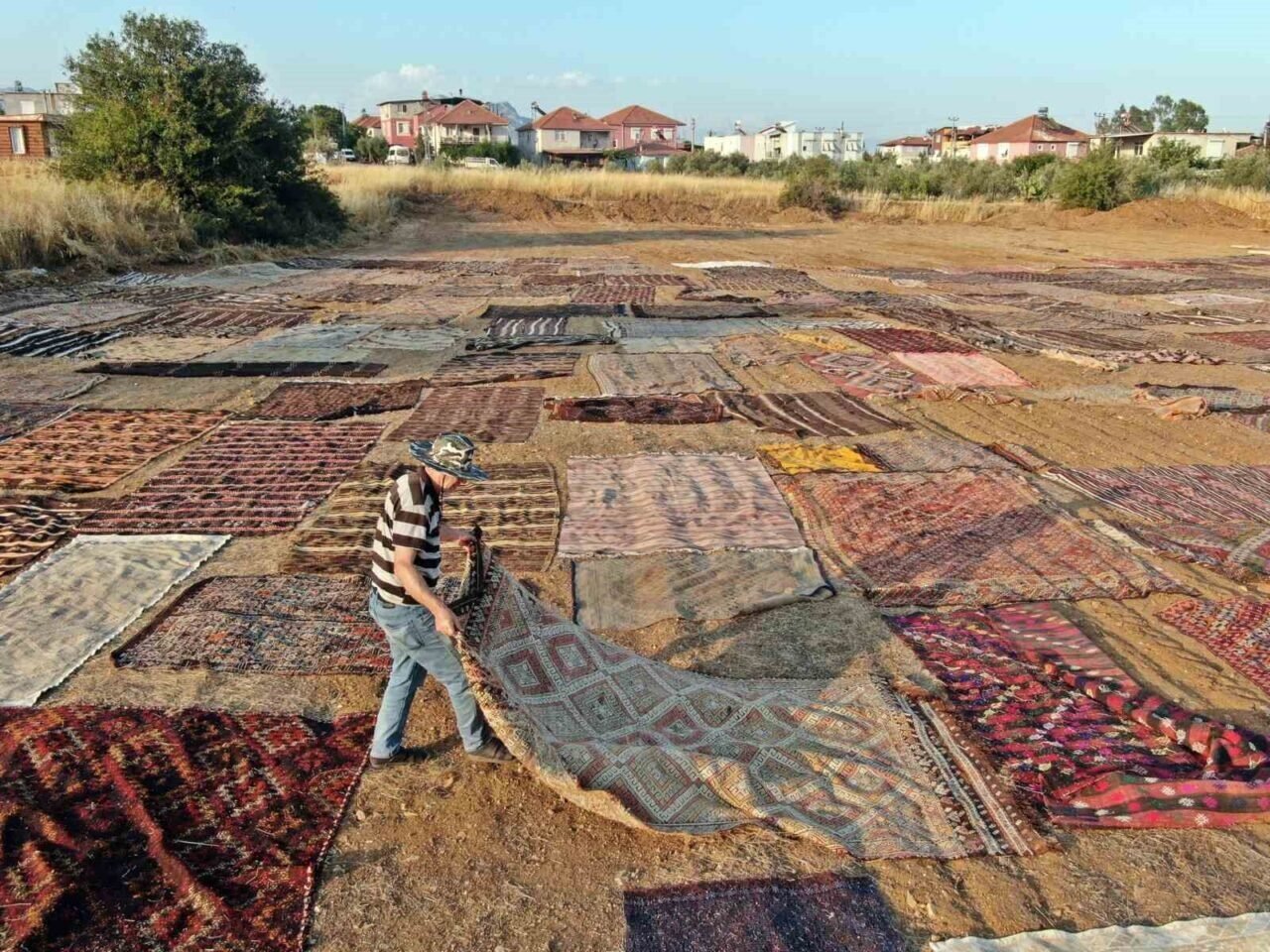Tarlalarda milyonluk halı nöbeti başladı