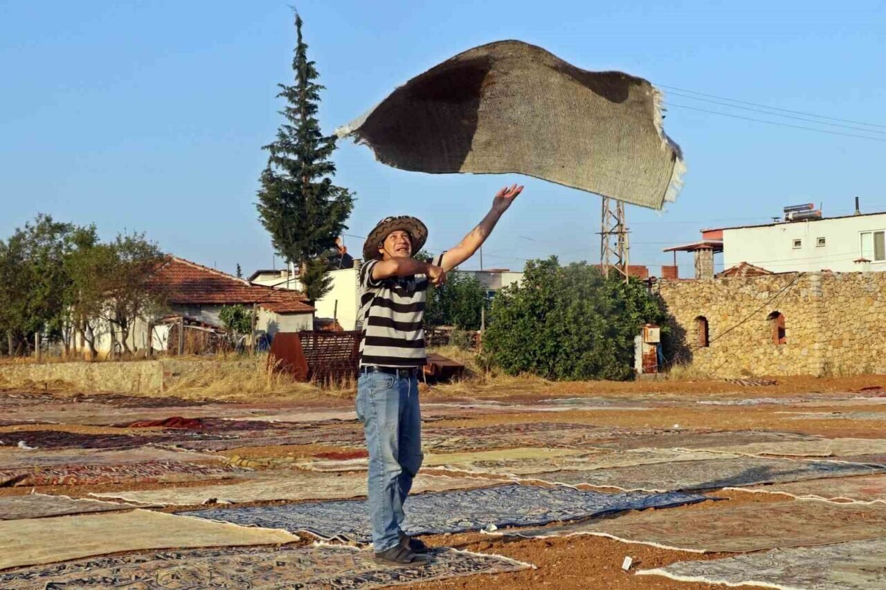 Tarlalarda milyonluk halı nöbeti başladı