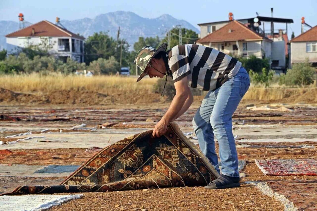 Tarlalarda milyonluk halı nöbeti başladı