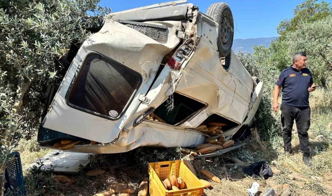 Aydın’ın Bozdoğan ilçesinde ekmek taşıyan ticari araç zeytinliğe uçarken, kazada