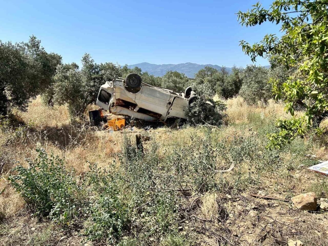 Ticari araç zeytinliğe uçtu: 1 ölü