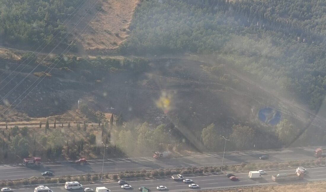 İzmir Çevreyolu’nda yanan bir tırdan çıkan alevler ormanlık alanı tutuşturdu.
