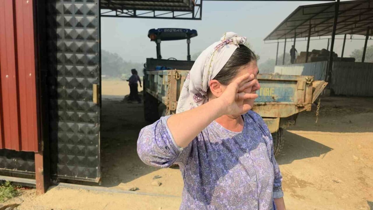 Tire’de makilik alandaki yangın köye sıçradı, bazı evler ve damlar küle döndü