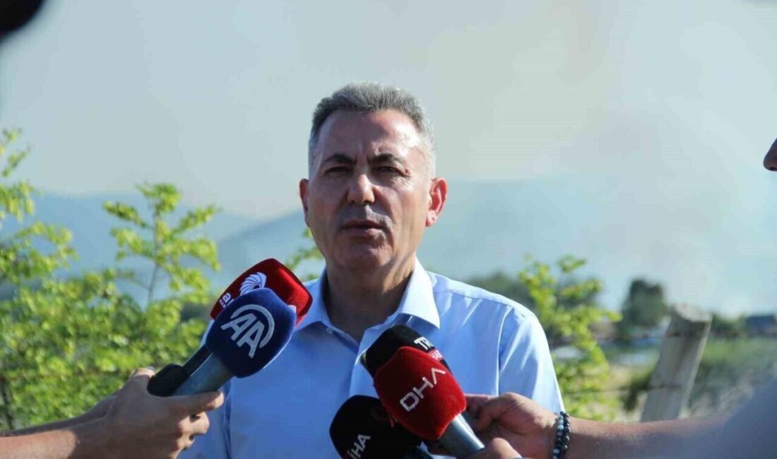 İzmir’in Bornova ilçesinde çıkan ve bazı evlerin küle döndüğü orman