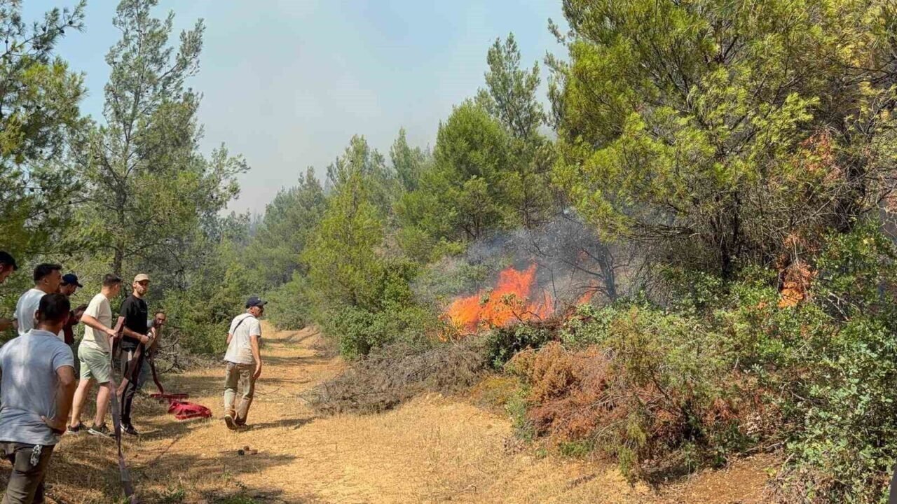 Vali Özkan yangın bölgesindeki son durumu açıkladı