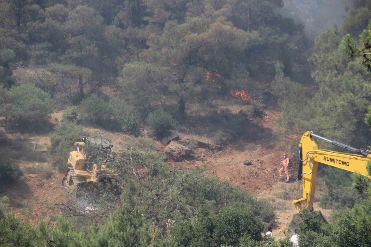 Vali Özkan yangın bölgesindeki son durumu açıkladı