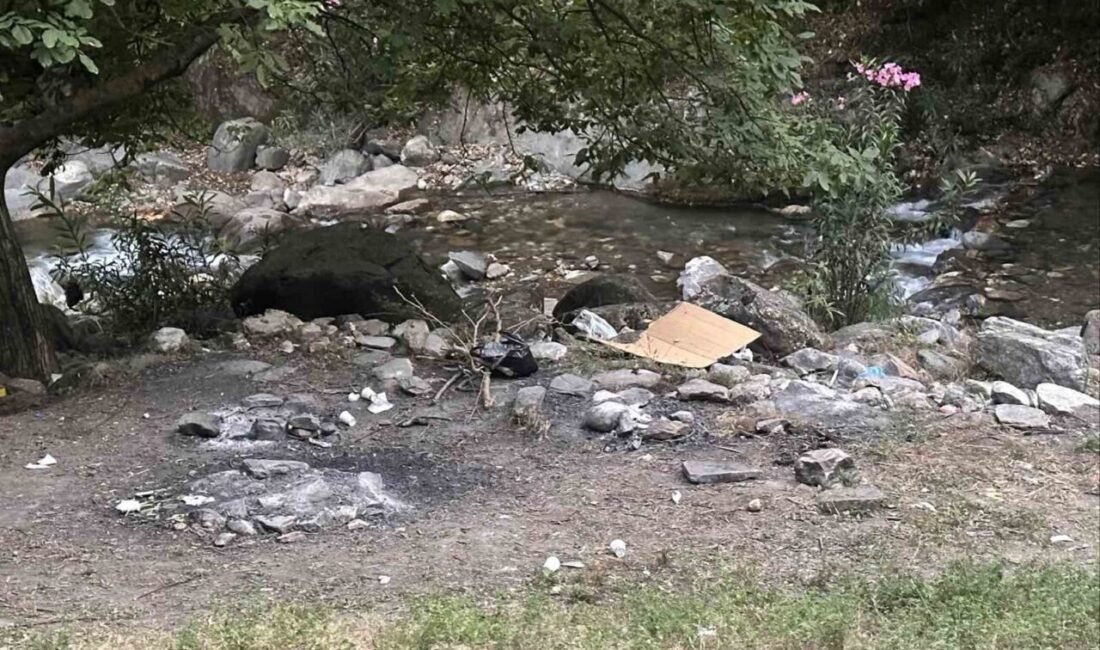 Aydın’ın Efeler ilçesinde girilmesi yasak ormanlık alana girerek mangal yakan