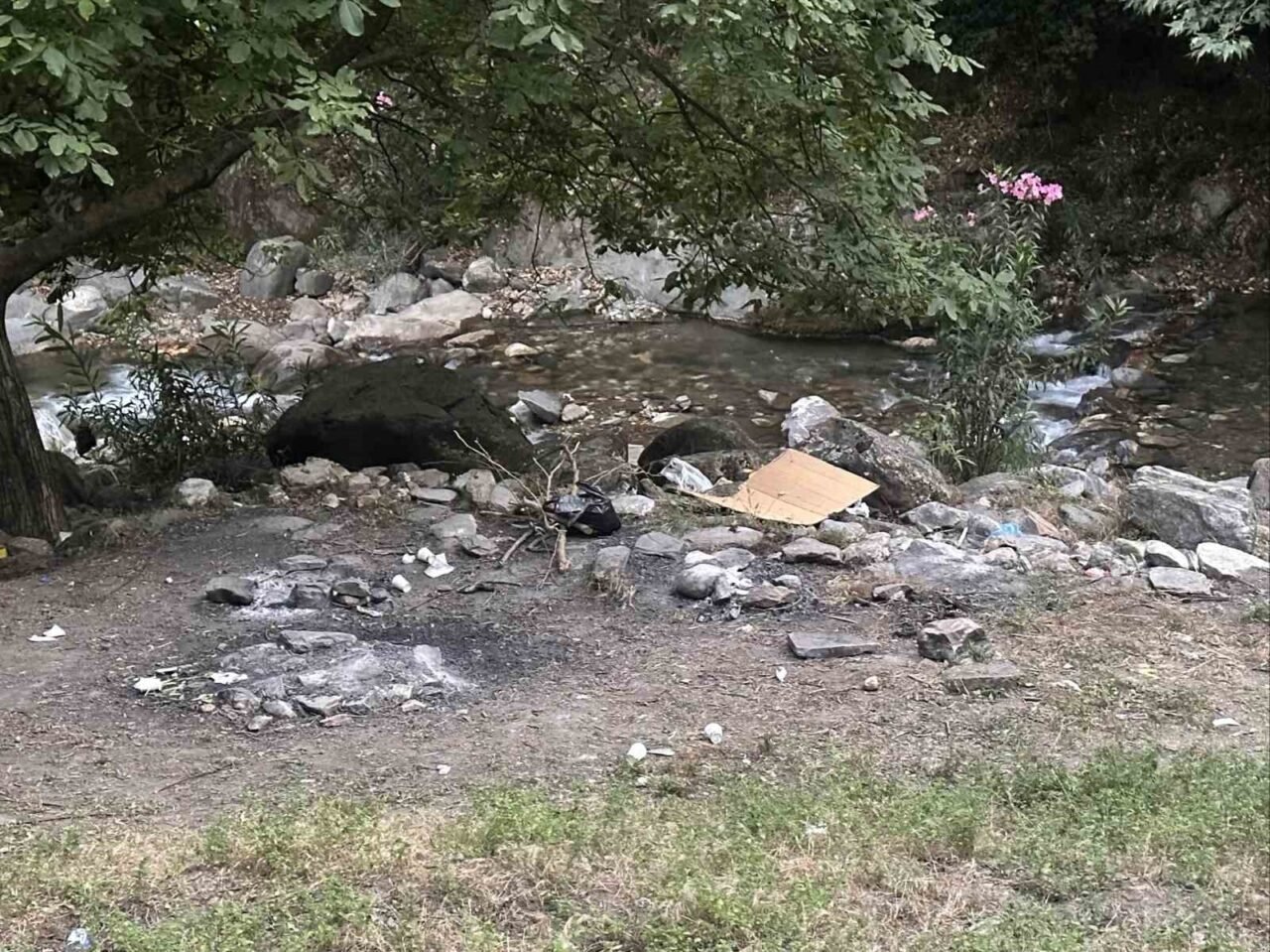 Yasağı delip ormanda mangal yaktılar, jandarmadan kaçamadılar Yasağı delip ormanda mangal yaktılar, jandarmadan kaçamadılar