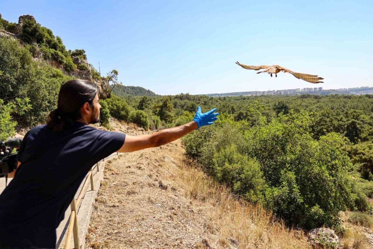 Yetişkinliğe erişen kerkenez yavruları doğal ortamlarına bırakıldı
