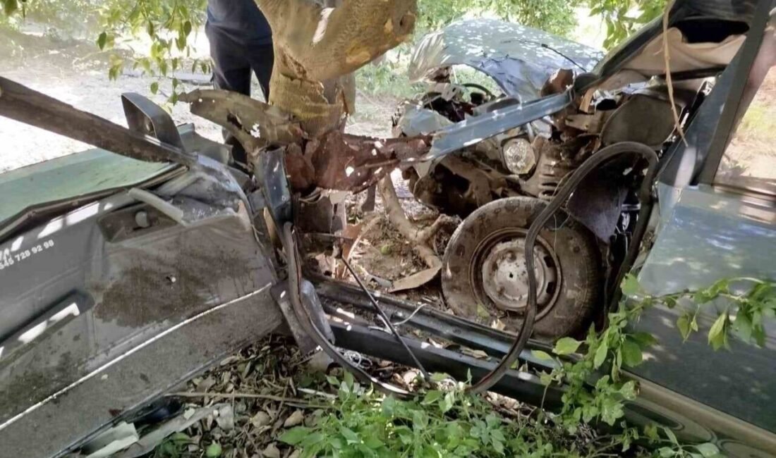 Aydın’ın Nazilli ilçesinde sürücüsünün direksiyon hakimiyetini kaybettiği otomobil ağaca çarptı,