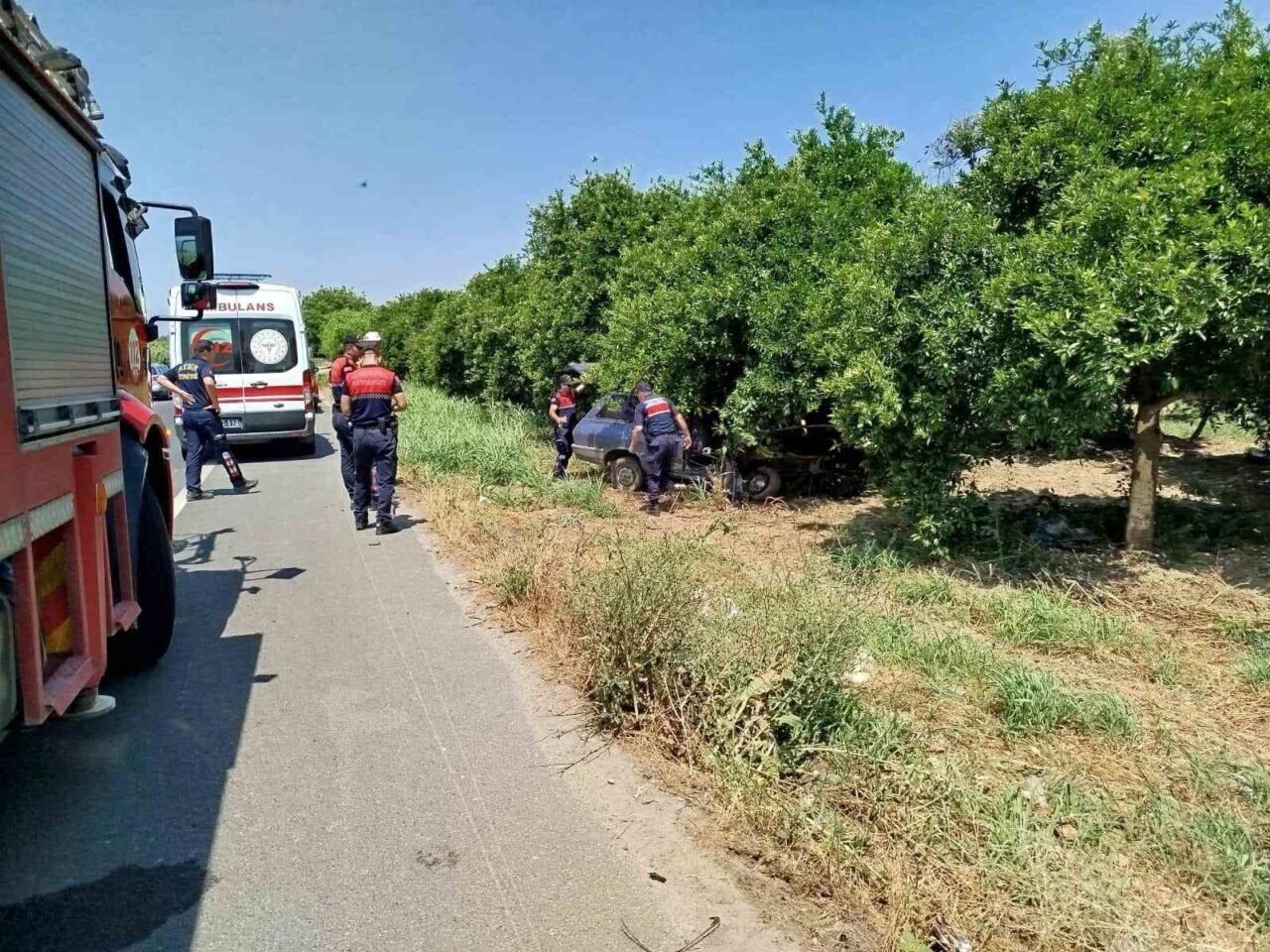 Yoldan çıkan otomobil ağaca çarptı: 1 yaralı