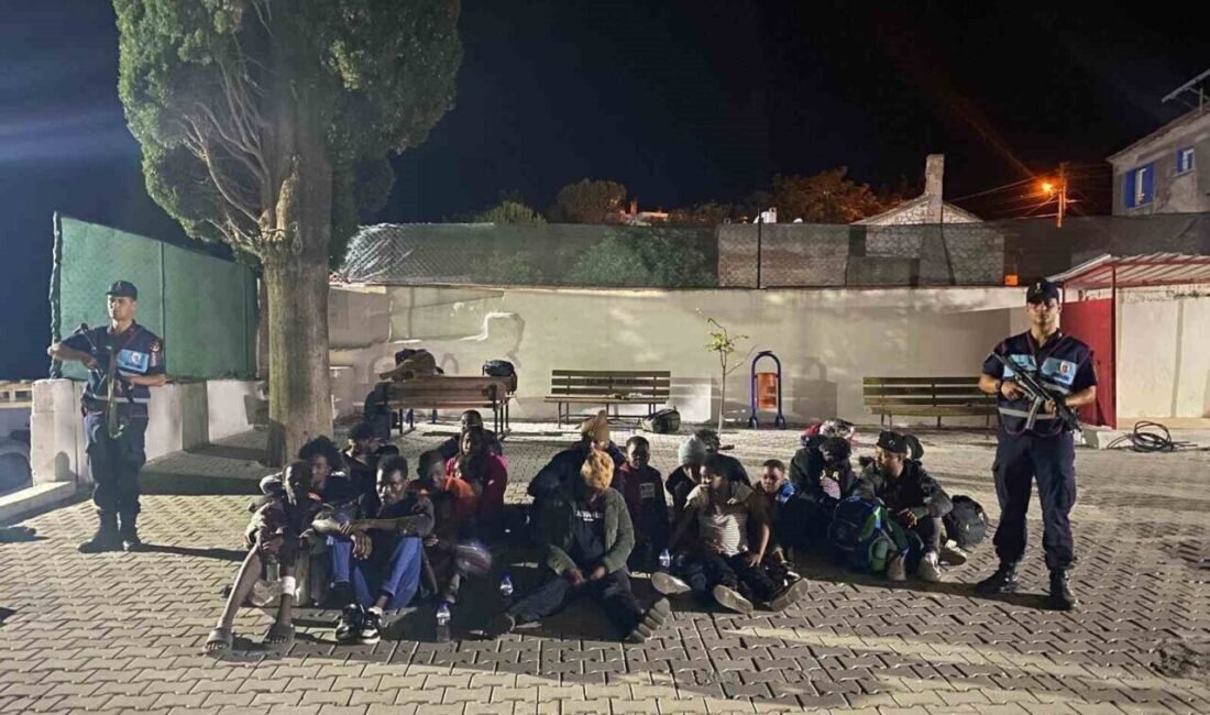 Aydın’ın Didim ilçesinde zeytinlik alan içerisindeki 32 düzensiz göçmen jandarma