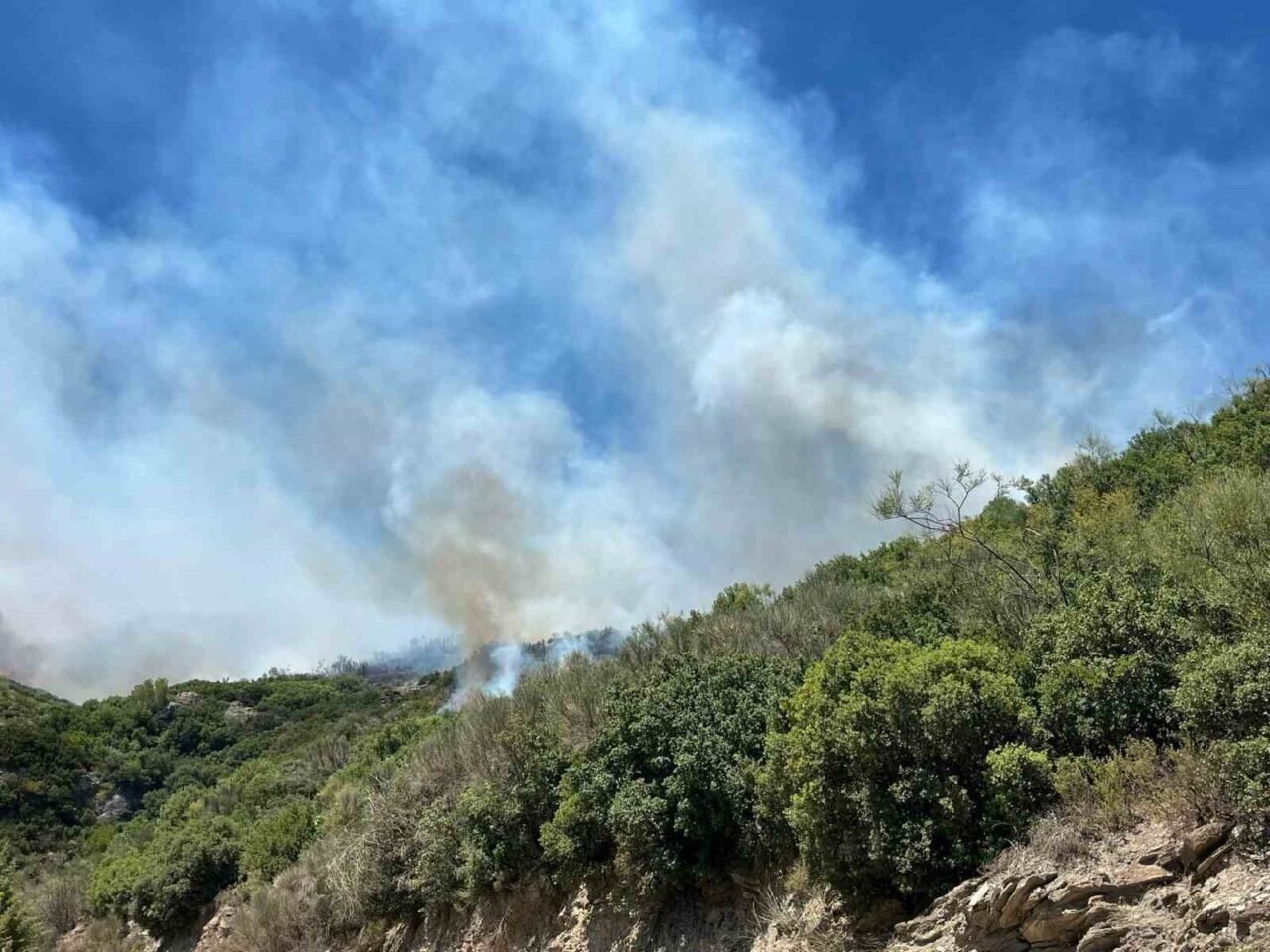 Zirai alanda başlayan yangın ormana sıçradı