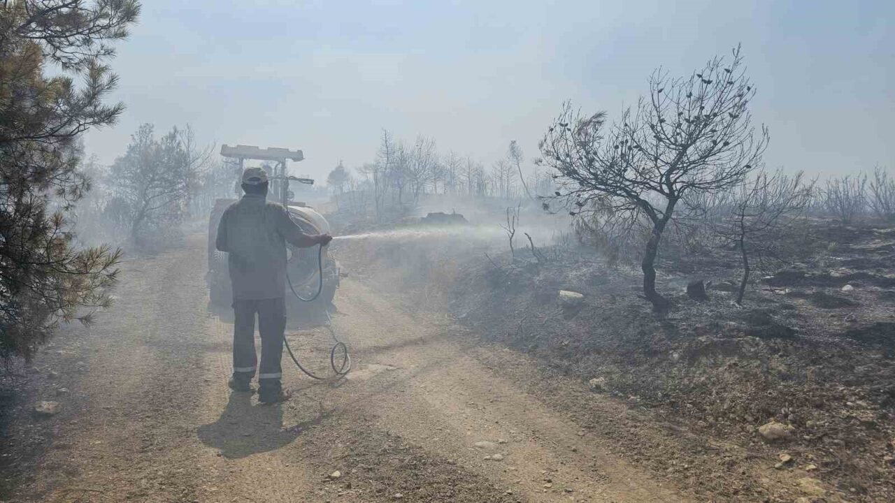 7 hektarlık alanın zarar gördüğü yangında 3 bin hektar orman kurtarıldı