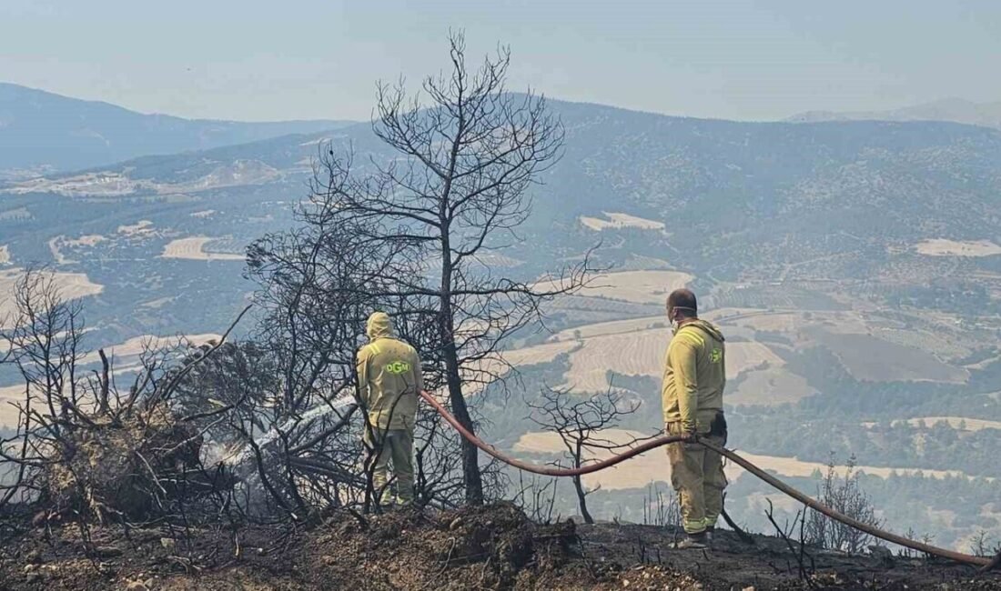 Denizli’de yanan evden ormanlık alana sıçrayan yangında 7 hektarlık alan