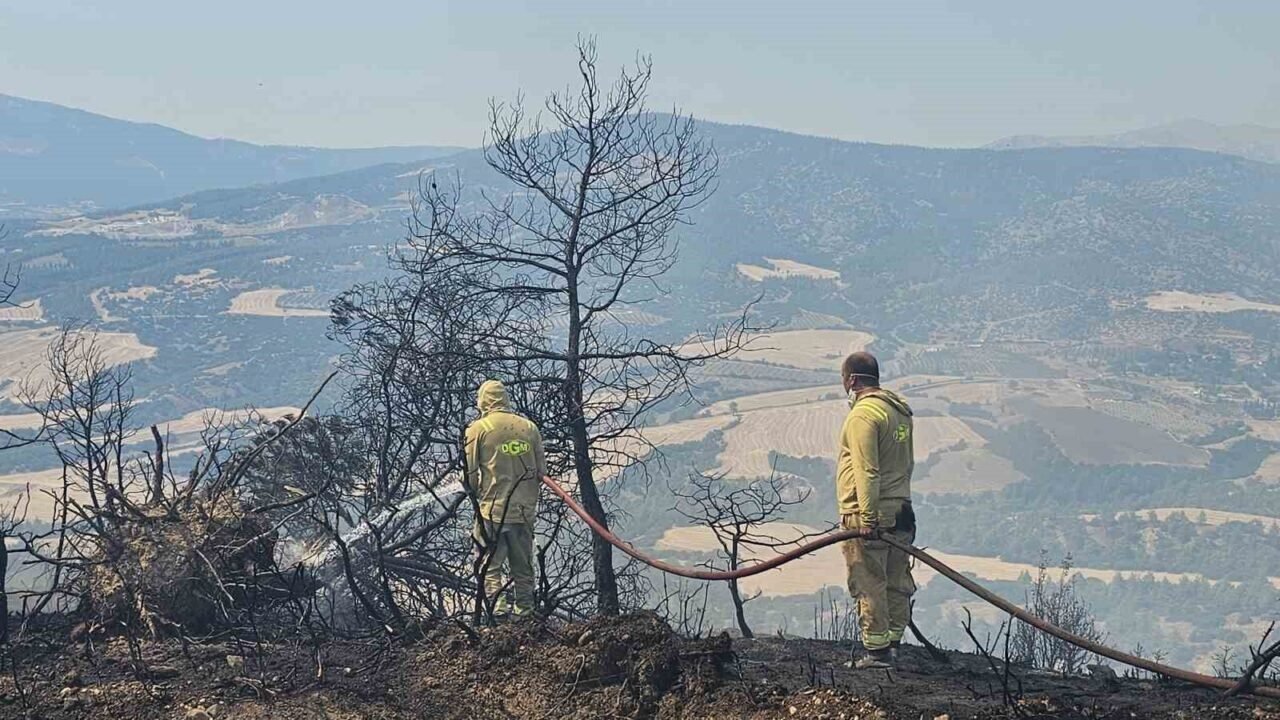 7 hektarlık alanın zarar gördüğü yangında 3 bin hektar orman kurtarıldı 7 hektarlık alanın zarar gördüğü yangında 3 bin hektar orman kurtarıldı