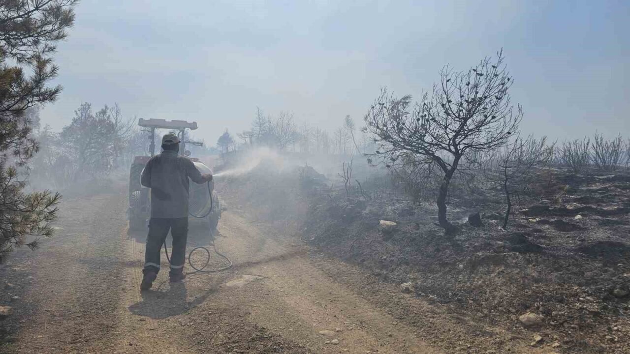 7 hektarlık alanın zarar gördüğü yangında 3 bin hektar orman kurtarıldı