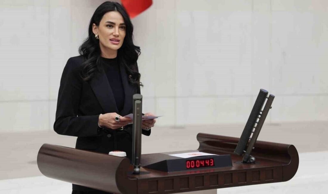 AK Parti Aydın Milletvekili Seda Sarıbaş, İmam Hatipli öğrencilerin LGS