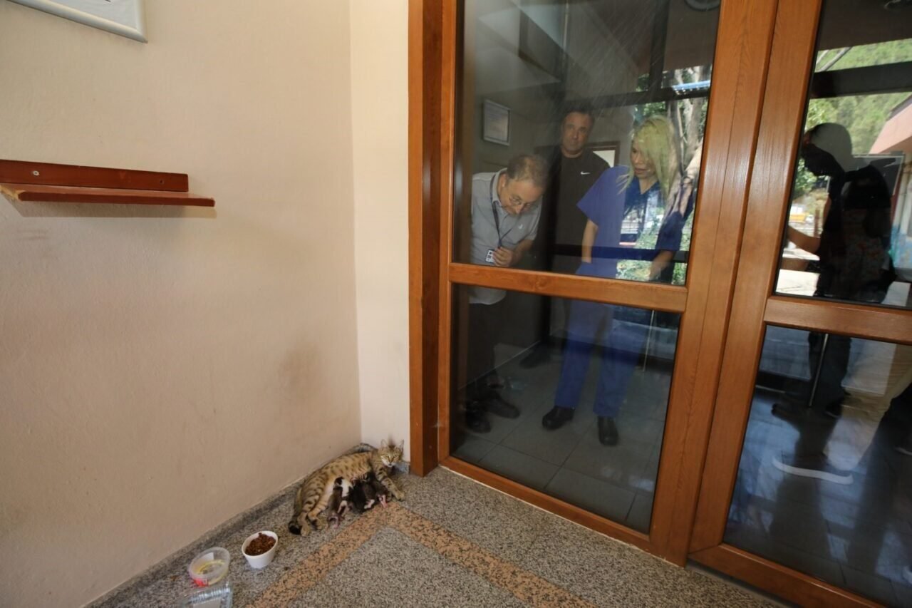Akdeniz Üniversitesi AMBAUM’dan bağımlılıkla mücadelede yıllık binlerce tedavi