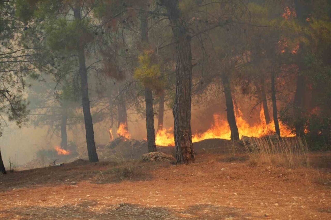 Aksu’da yürek yakan yangında evler hasar gördü, hayvanlar telef oldu