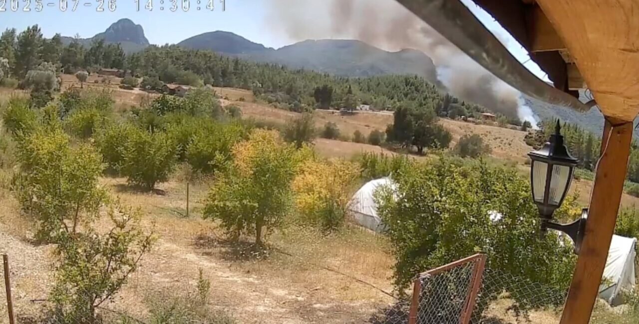 Antalya’da 3 ev, 4 ahırın yandığı orman yangınının başladığı an güvenlik kamerasında Antalya’da 3 ev, 4 ahırın yandığı orman yangınının başladığı an güvenlik kamerasında