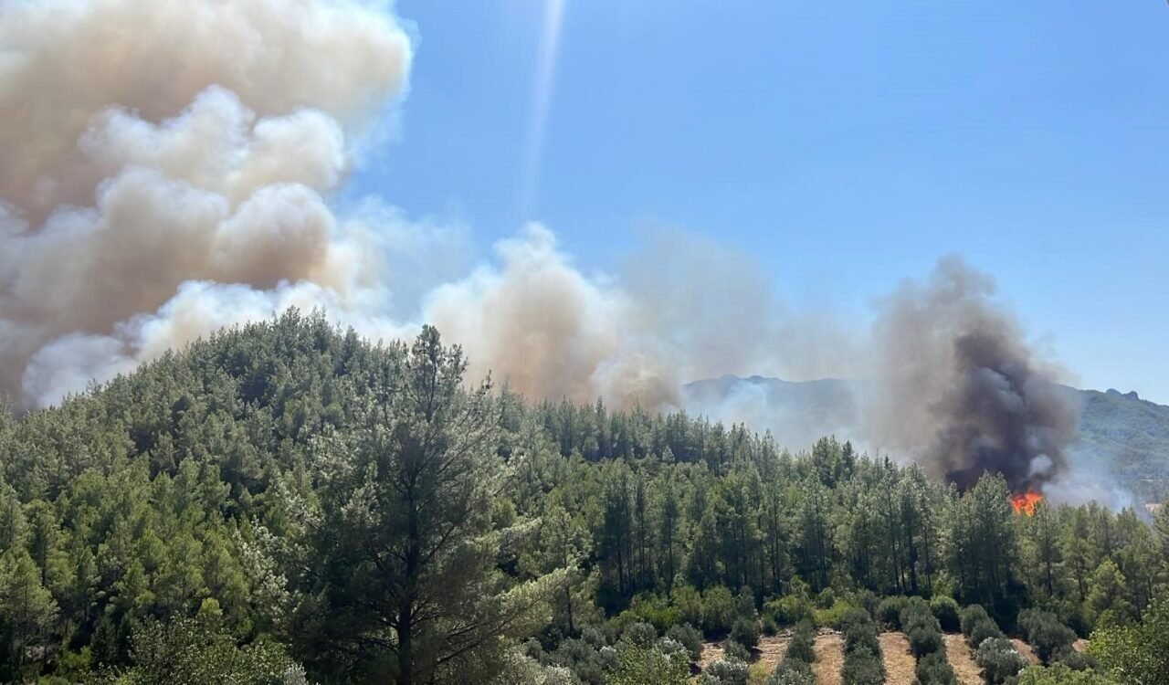 Antalya’da 3 ev, 4 ahırın yandığı orman yangınının başladığı an güvenlik kamerasında