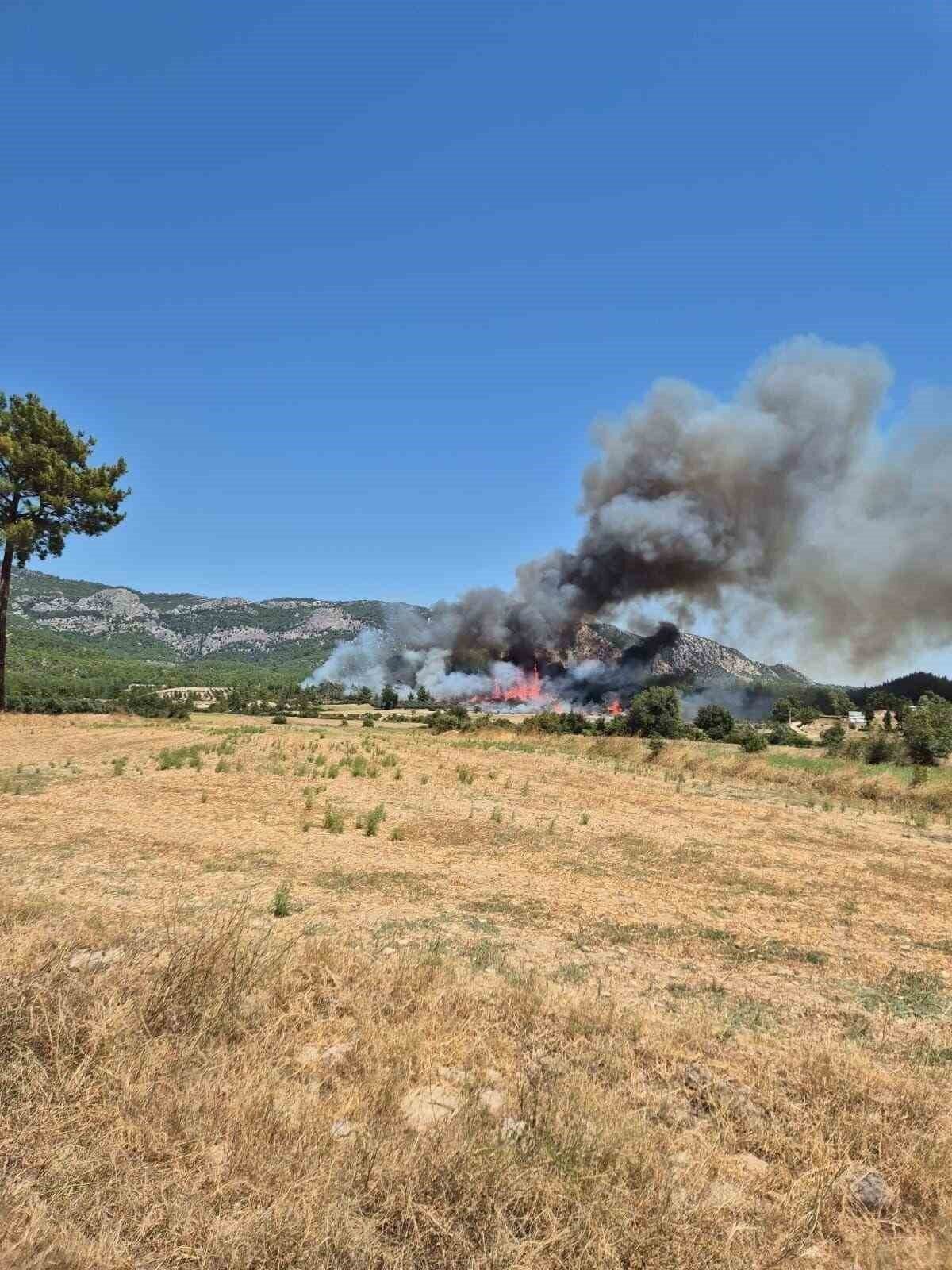 Antalya’da 3 ev, 4 ahırın yandığı orman yangınının başladığı an güvenlik kamerasında