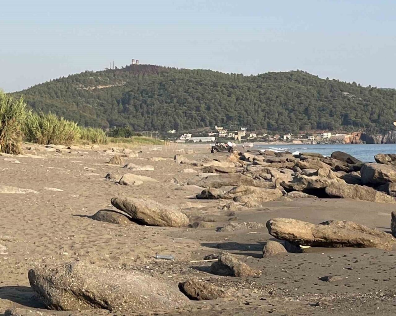 Antalya’da caretta caretta yuvaları zarar gördü