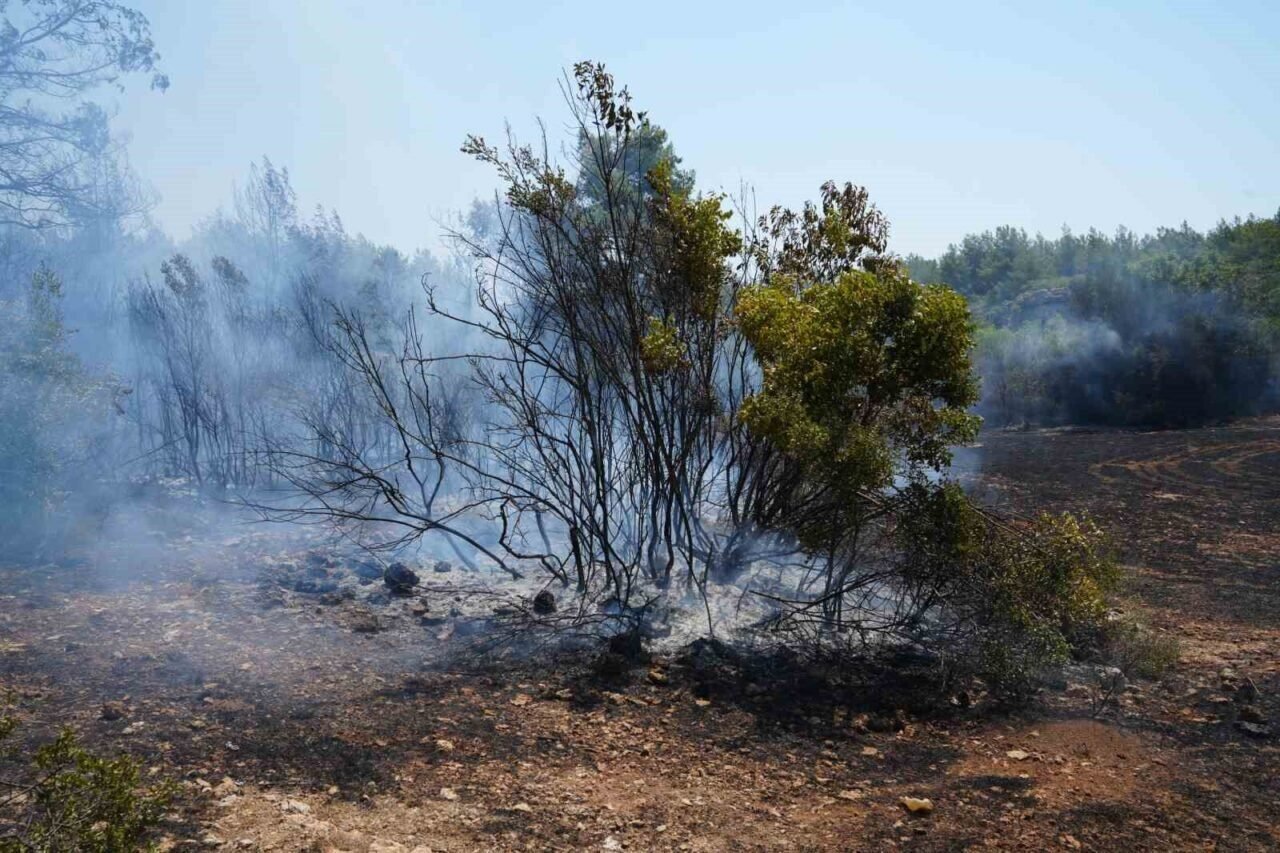 Antalya’da çıkan yangında alevler arasında kaldılar
