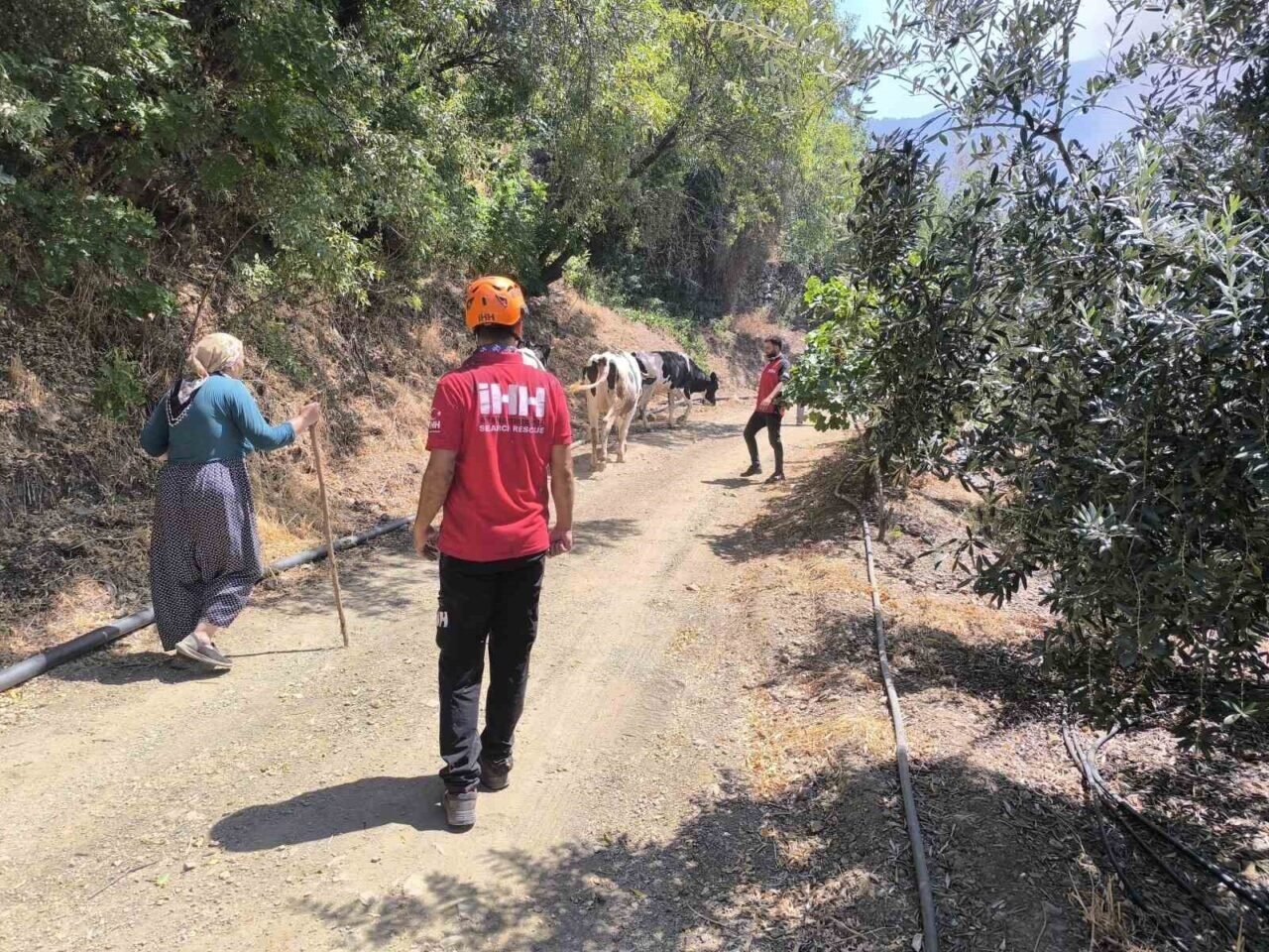 Antalya’da yerleşim yerlerini tehdit eden orman yangınında bazı evler tahliye edildi