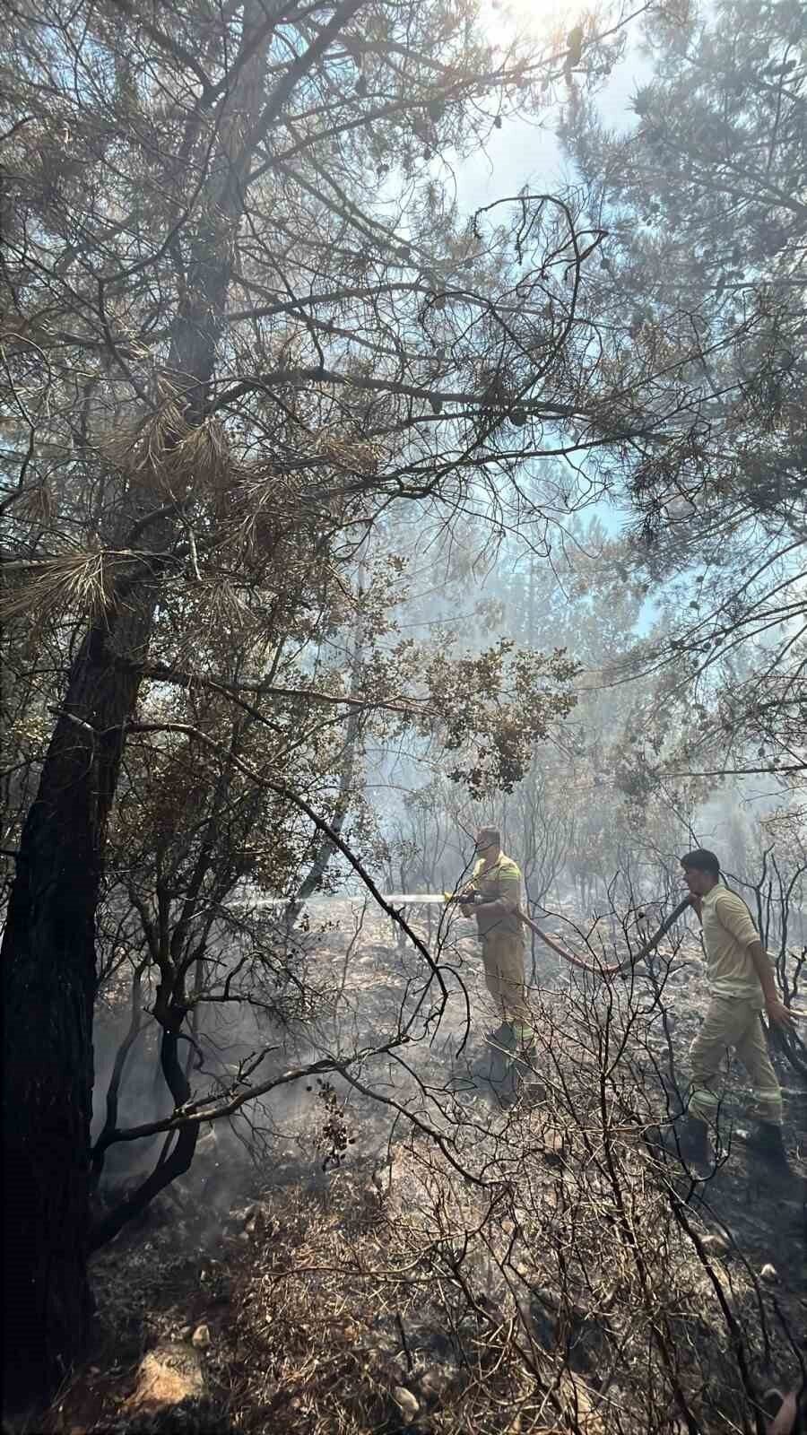 Antalya’daki orman yangınında 2,8 hektarlık alan zarar gördü