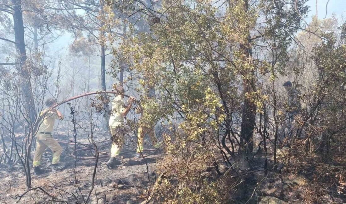 Antalya’nın Kaş ilçesine bağlı Üzümlü Mahallesi’nde ormanlık alanda çıkan yangın