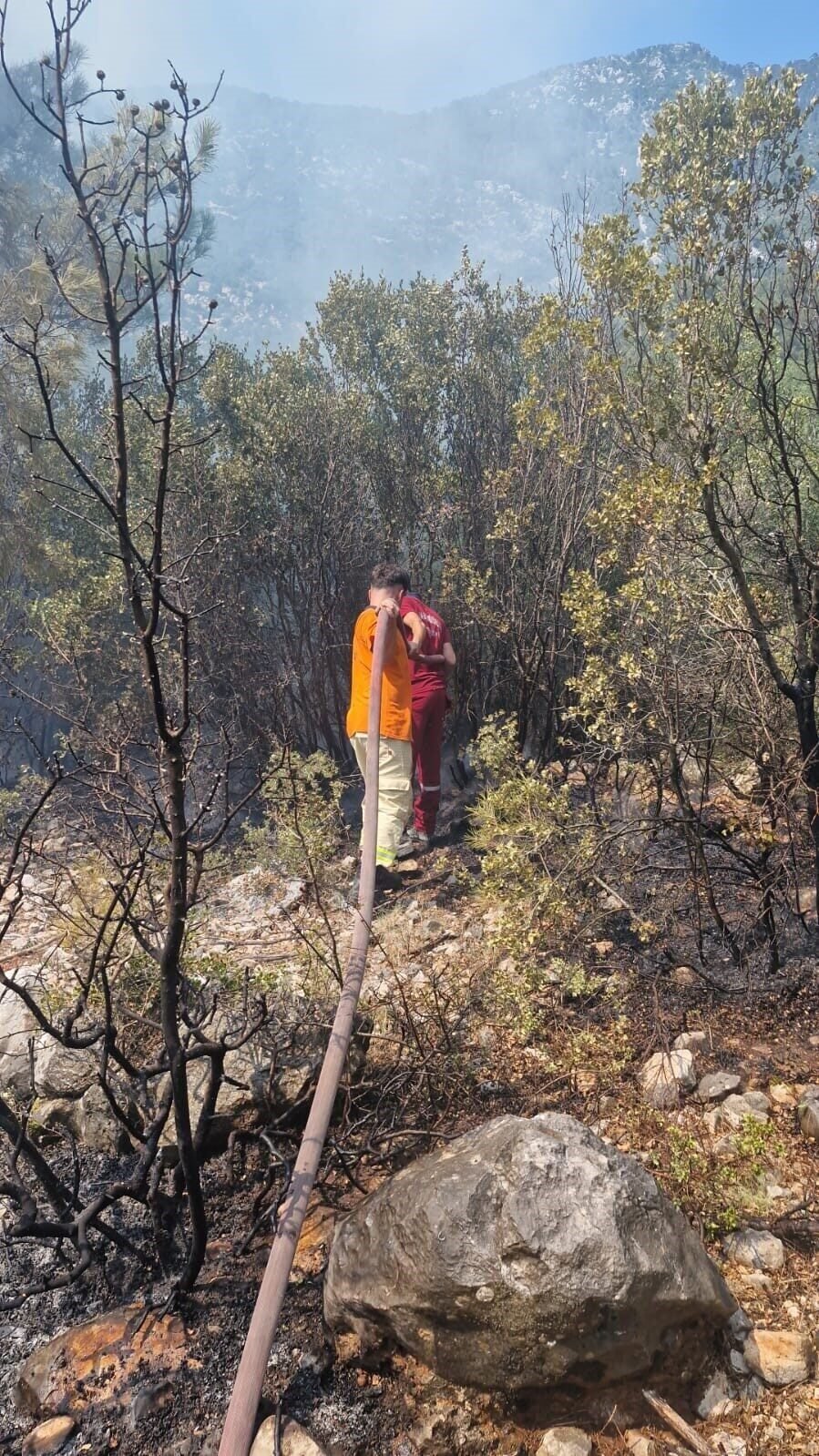 Antalya’daki orman yangınında 2,8 hektarlık alan zarar gördü
